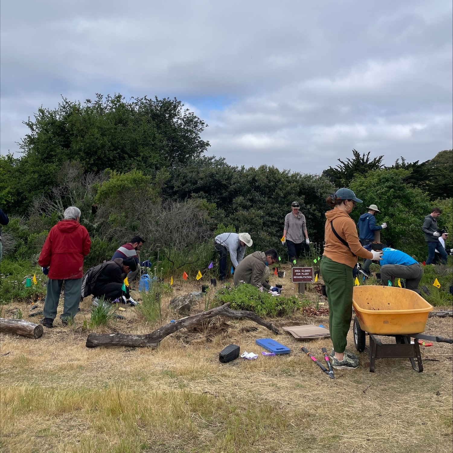 people planting native species
